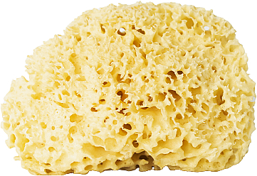 Naturalna gąbka do kąpieli, żółta, 17,5 cm - Hhuumm 01H Natural Sponge — Zdjęcie N1