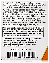 Ekstrakt gliceryny z liści oliwnych - Now Foods Olive Leaf Glycerite — Zdjęcie N2