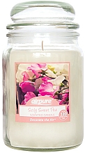 Kup Świeca zapachowa Sycylijski groszek - Airpure Jar Scented Candle Sicily Sweet Pea