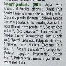 Ajurwedyjski szampon z indyjskich ziół - Comex Ayurvedic Natural — Zdjęcie N11