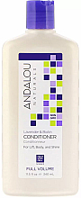 Kup Odżywka do włosów Lawenda i biotyna - Andalou Naturals Lavender & Biotin Full Volume Conditioner