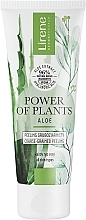 Kup Peeling gruboziarnisty do każdego typu cery z aloesem - Lirene Power Of Plants Aloes Peeling