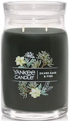 Świeca zapachowa w słoiczku Silver Sage & Pine, 2 knoty - Yankee Candle Singnature — Zdjęcie N1