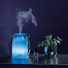 Dyfuzor ultradźwiękowy - Esteban Perfume Mist Diffuser Silver Color Edition — Zdjęcie N3