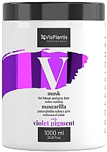 Maska do jasnych włosów - Vis Plantis Mask For Blond and Gray Hair With a Cooling Color — Zdjęcie N2
