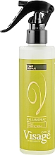 Kup Termoochronny dwufazowy balsam w sprayu do włosów - Visage Heat Protection Balsam Spray