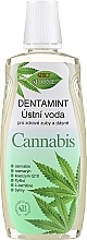 Płyn do płukania jamy ustnej z olejem konopnym - Bione Cosmetics Dentamint Mouthwash Cannabis — Zdjęcie N1