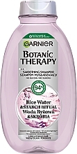 Szampon do włosów długich i porowatych - Garnier Botanic Therapy Rice Water — Zdjęcie N1