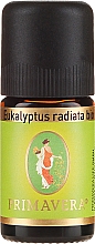 Kup Olejek eteryczny - Primavera Natural Essential Oil Eucalyptus Radiata