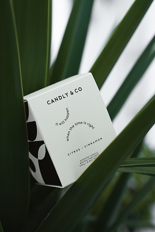 Świeca zapachowa - Candly & Co No.3 Candle It Will Happen When The Time Is Right Citrus Cinnamon — Zdjęcie N2