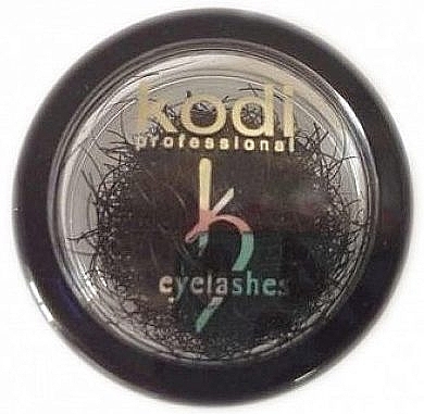 Sztuczne rzęsy w słoiczku D 0.15 (10 mm) - Kodi Professional — Zdjęcie N1