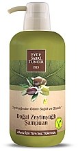 Kup Szampon z oliwą - Eyup Sabri Tuncer Natural Olive Oil Shampoo 