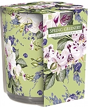 Kup Świeca zapachowa w szkle Wiosenna zieleń - Bispol Scented Candle Spring Greenery