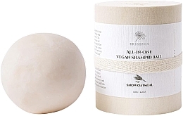 Kup Szampon w kostce Snow Oatmeal - Erigeron All in One Vegan Shampoo Ball Snow Oatmeal