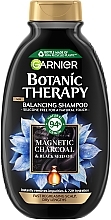 Balansujący szampon Węgiel Magnetyczny - Garnier Botanic Therapy Balancing Shampoo — Zdjęcie N1