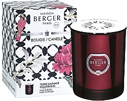 Kup Maison Berger Prisme Garnet Wilderness - Świeca zapachowa