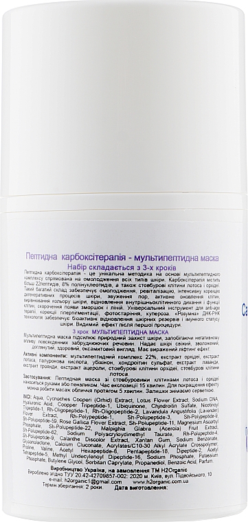 Zestaw Karboksyterapia peptydowa - H2Organic Carboxy Therapy CO2 Peptide (gel/50ml + gel/50ml + mask/50ml) — Zdjęcie N7