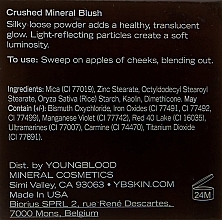 Sypki róż mineralny - Youngblood Crushed Mineral Blush — Zdjęcie N6