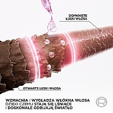 Odżywka do włosów - L’Oréal Paris Elseve Glycolic Gloss Conditioner — Zdjęcie N4