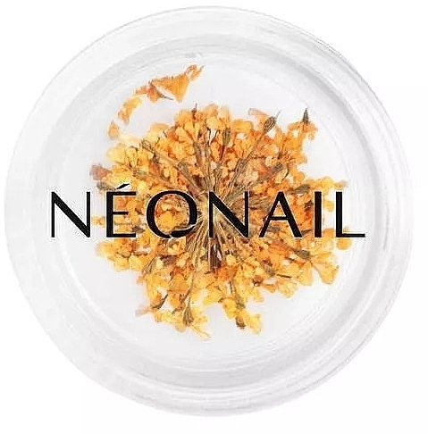 Suszone kwiaty do zdobienia paznokci - NeoNail Professional — Zdjęcie N1