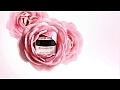 Różany krem regenerujący na noc - Académie Night Infusion Rose Cream — Zdjęcie N1