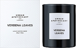 Urban Apothecary Verbena Leaves - Świeca zapachowa — Zdjęcie N2