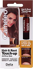 Kup Korektor tuszujący odrosty i siwe włosy - Delia Cameleo Hair & Root Touch-Up Anti-Grey Stick