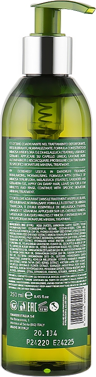 Szampon przeciwłupieżowy z olejkiem z drzewa herbacianego - Emmebi Italia BioNatural Mineral Treatment Anti-Dandruff Shampoo — Zdjęcie N2