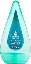 Kup Żel mycia twarzy, ciała i włosów Woda lodowa - Miracle Island Ice Plant Water 95% All In One Gel