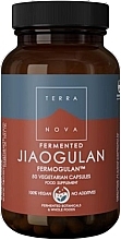 Suplement diety „Fermentowany Jiaogulan - Terranova Fermented Jiaogulan — Zdjęcie N1
