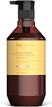 Kup Szampon z brokatem - Theorie Sage Monoi & Buriti Glossing Shampoo