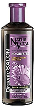 Kup Szampon do włosów farbowanych - Natur Vital Organic Salon Shampoo For Coloured Hair