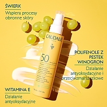 Spray do opalania twarzy i ciała - Caudalie Vinosun Protect Spray Invisible SPF50 — Zdjęcie N5