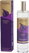 Esteban Figue Noire - Perfumowany spray do domu — Zdjęcie N1
