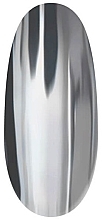 Metaliczny lakier do paznokci - PNB Gel Paint Silver Fusion UV/LED — Zdjęcie N2