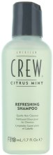 Kup Odświeżający szampon do codziennego stosowania - American Crew Citrus Mint Refreshing Shampoo