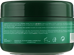 Przeciwłupieżowa maska do włosów z ekstraktem z brzozy - Orising Anti-dandruff Birch Extract Hair Pack — Zdjęcie N3