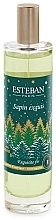 Esteban Exquisite Fir - Spray zapachowy — Zdjęcie N1