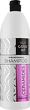 Wzmacniający szampon do włosów z ceramidami - Prosalon Basic Care Color Art Strengthening Shampoo Ceramides — Zdjęcie N1