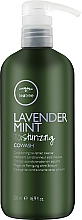 Odżywka oczyszczająca i nawilżająca - Paul Mitchell Tea Tree Lavender Mint Moisturizing Cowash — Zdjęcie N1