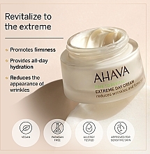 Ekstremalny krem przeciwzmarszczkowy na dzień - Ahava Extreme Day Cream — Zdjęcie N6