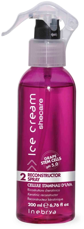 Spray do włosów suchych i zniszczonych - Inebrya Ice Cream SheCare Reconstructor Spray — Zdjęcie N1