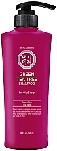 Szampon do tłustej skóry głowy Zielona herbata - Daeng Gi Meo Ri Green Tea Tree Shampoo for Oily Scalp — Zdjęcie N1