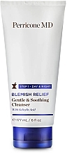 Żel oczyszczający dla skóry problematycznej - Perricone MD Blemish Relief Gentle & Soothing Cleanser — Zdjęcie N1