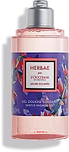 L'Occitane Herbae Clary Sage - Żel pod prysznic — Zdjęcie N1