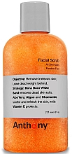 Kup Peeling do twarzy - Anthony Facial Scrub