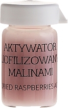 PRZECENA! Aktywator z liofilizowanymi malinami - APIS Professional Concentrate Activator Ampule * — Zdjęcie N2