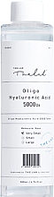 Nawilżający, rewitalizujący tonik do twarzy - The Lab Oligo Hyaluronic Acid 5000 Toner — Zdjęcie N2