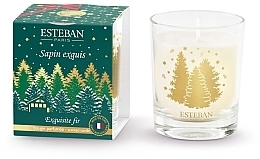 Esteban Exquisite Fir - Świeca zapachowa — Zdjęcie N1