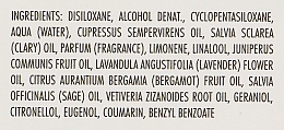 Lotion do włosów z olejkami eterycznymi - La Biosthetique Methode Normalisante Visarome Dynamique N — Zdjęcie N2